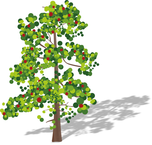 Medis, Vaisiai, Žalias, Raudona, Lapai, Obuolių Medis, Nemokama Vektorinė Grafika