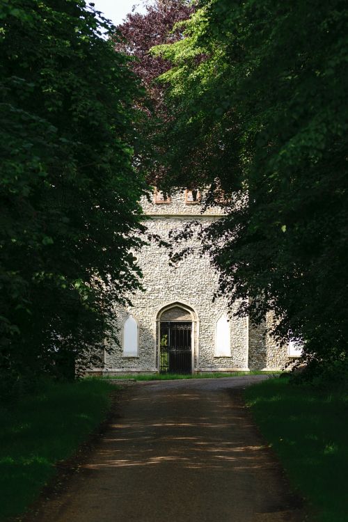 Medis, Kraštovaizdis, Gamta, Ruduo, Žalias, Sodas, Parkas, Medžiai, Kritimas, Dangus, Mėlynas, Miškas, Atspindys, Lapija, Vasara, Diena, Žolė, Lapai, Pavasaris, Spalvinga, Lauke, Saulėtas, Šviesus, Spalva, Laukas, Laimingas, Sezonas, Pieva, Augalas, Šviežias, Gėlių, Šventė, Natūralus, Apdaila, Dizainas, Dekoratyvinis, Tekstūra, Kelias, Ornamentas, Ekologiškas, Modelis