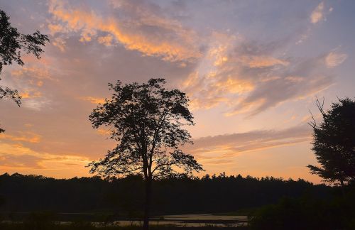 Medis, Saulėlydis, Dangus, Saulės Šviesa, Debesys, Vakaras, Gamta, Kraštovaizdis, Miškas, Vasara, Lauke, Vaizdingas, Parkas, Dusk, Ramus, Šviesa, Taikus, Horizontas