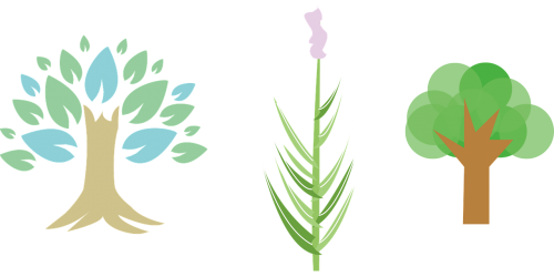 Medis, Augalas, Ling, Nemokama Vektorinė Grafika
