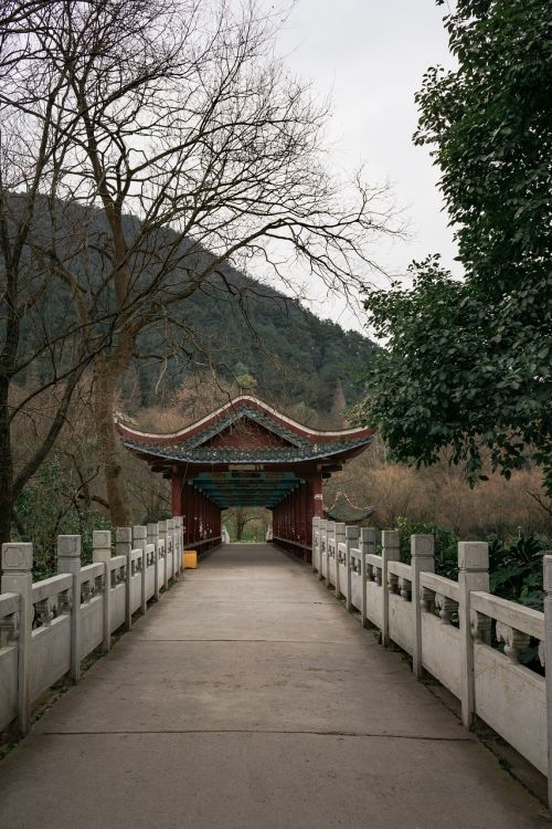 Medis, Mediena, Gamta, Guizhou, Guiyang, Qiangling Shan Parkas, Vėjo Ir Lietaus Tiltas, Kraštovaizdis, Žiema, Lauke, Tiltas