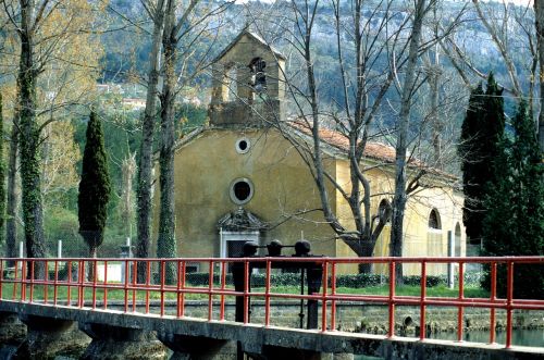 Medis,  Lauke,  Kelionė,  Koper,  Slovenia,  Be Honoraro Mokesčio