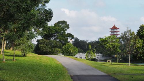 Medis,  Žolė,  Gamta,  Lauke,  Vasara,  Kraštovaizdis,  Kelionė,  Parkas,  Sodas,  Kinai,  Singapūras,  Turizmas,  Orientyras,  Flora,  Architektūra,  Pagoda,  Medžiai,  Be Honoraro Mokesčio