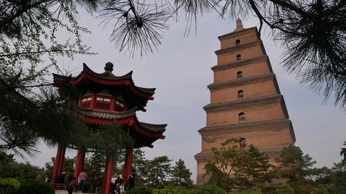 Medis,  Architektūra,  Pagoda,  Kelionė,  Tradiciškai,  Kultūra,  Šventykla,  Azijoje,  Kinija,  Xian,  Laukinių Žąsų Pagoda