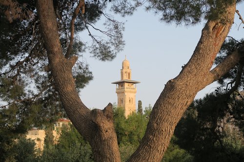 Medis,  Nuo,  Religija,  Pobūdį,  Minaretas,  Jeruzalė