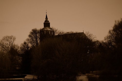 Medis,  Prieblanda,  Dawn,  Žiemos,  Vakare,  Altentreptow,  Meklenburgas,  Pomeranijoje