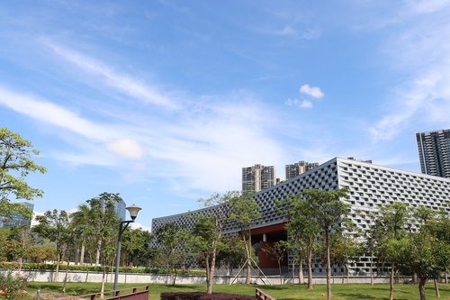 Medis,  Dangus,  Statyba,  Nurodytas Panaudojimo Lygis,  Lauko,  Pobūdį,  Shenzhen