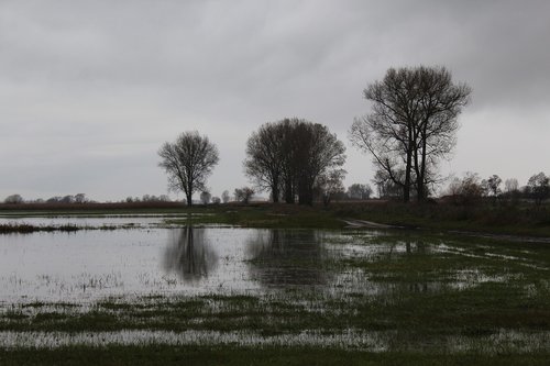 Medis,  Ežeras,  Vandens,  Kraštovaizdis