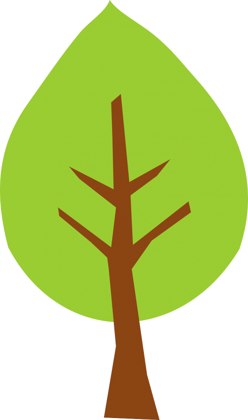 Medis, Žalias, Filialai, Izoliuotas, Nemokama Vektorinė Grafika
