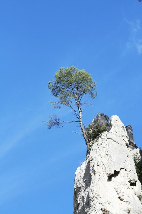 Medis, Griuvėsiai, Marseille, Į Pietus Nuo Prancūzijos, Provence, Jūra