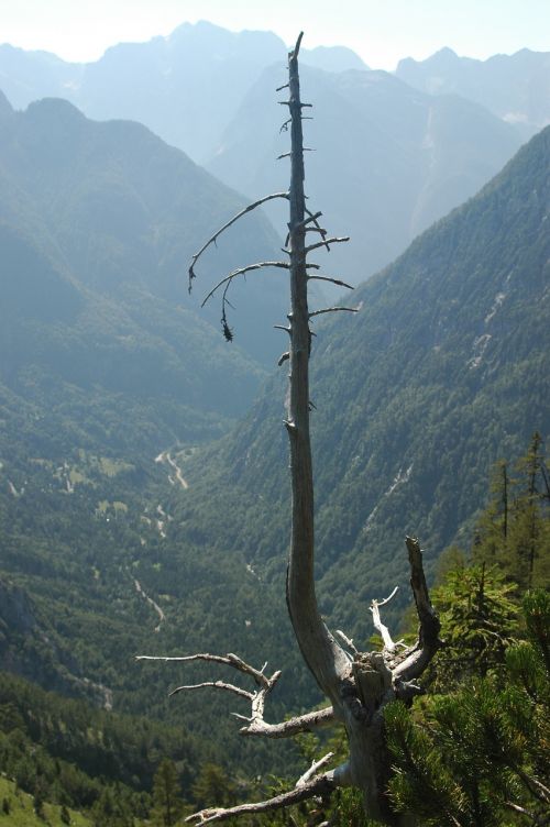 Medis, Miręs, Slovenia, Alpės, Kraštovaizdis
