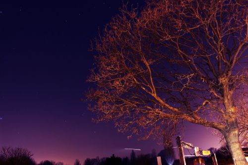 Medis, Naktis, Žvaigždės