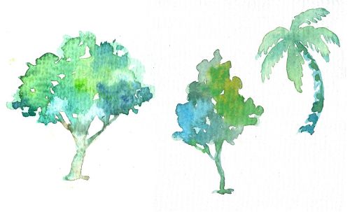 Medis,  Kokoso Medžiai,  Palmė,  Akvarelinė Tapyba,  Dažymas,  Rašalas
