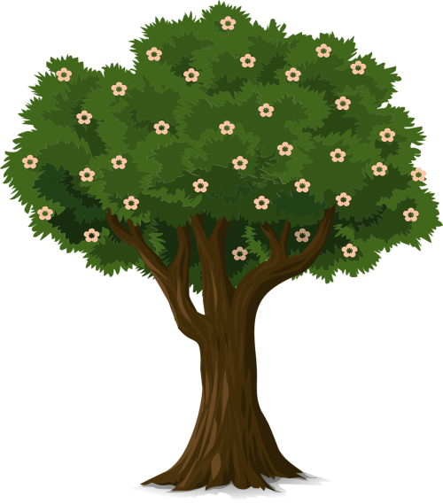 Medis, Gėlės, Augalas, Žydėti, Persikas, Nemokama Vektorinė Grafika