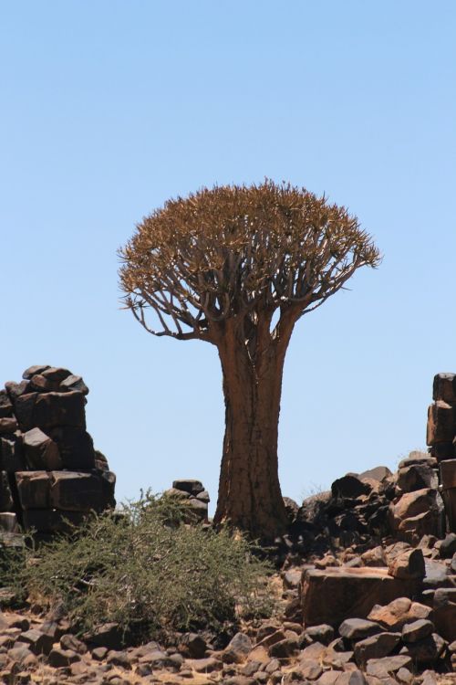 Medis, Namibija, Kraštovaizdis