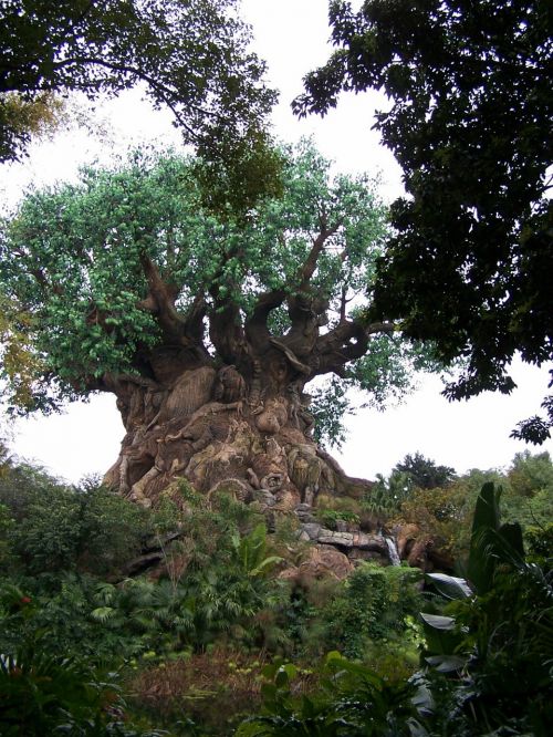Gyvybės Medis, Gyvūnų Karalystė, Disney