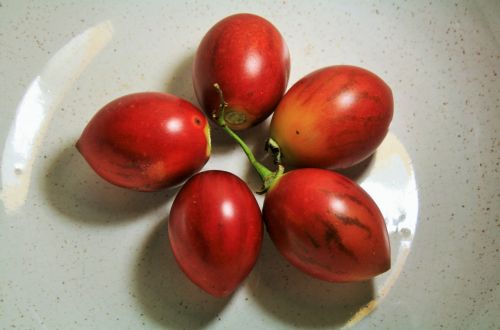 Vaisiai,  Medis & Nbsp,  Pomidoras,  Raudona,  Sveikas,  Medžio Pomidorai,  Išdėstyti Dubenyje