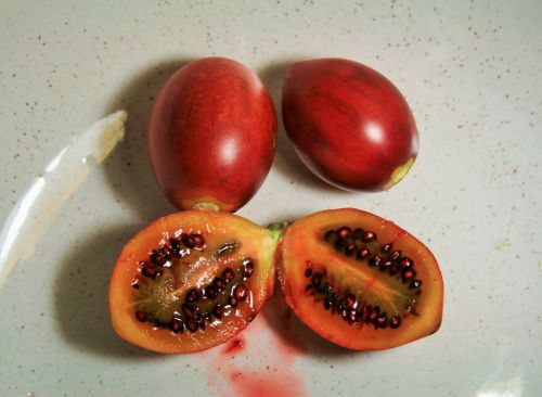 Vaisiai,  Medis & Nbsp,  Pomidoras,  Raudona,  Lūpos,  Juoda,  Skanus,  Medžio Pomidorų Vaisiai Dubenyje