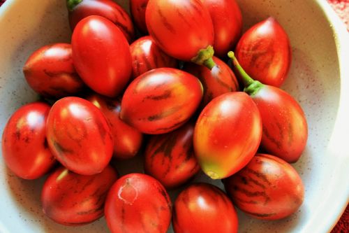 Vaisiai,  Medis & Nbsp,  Pomidorai,  Raudona,  Ženklinimas,  Medžio Pomidorai Dubenyje