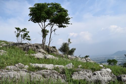 Medžiai, Rokas, Alpinizmas, Tangšanas, Chaohu, Kraštovaizdis