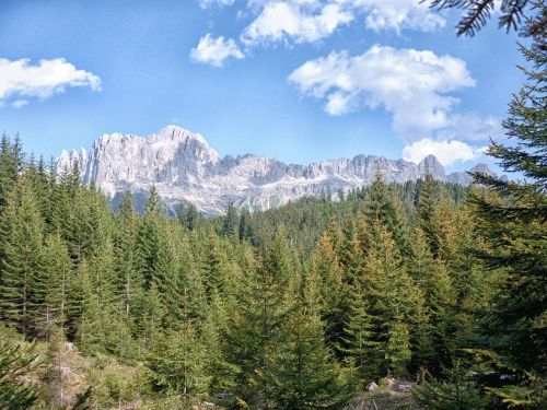 Dolomitai, Medžiai, Kalnas, Miškas, Kraštovaizdis, Visžalis