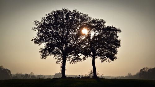 Medžiai, Saulėlydis, Siluetas, Abendstimmung, Twilight, Vakaras, Gamta, Kraštovaizdis