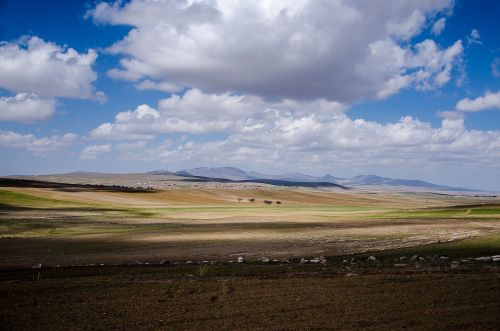 Medžiai, Dangus, Kalnai, Kelionė, Debesys, Cappadocia, Gamta, Turkija, Kraštovaizdis, Turizmas