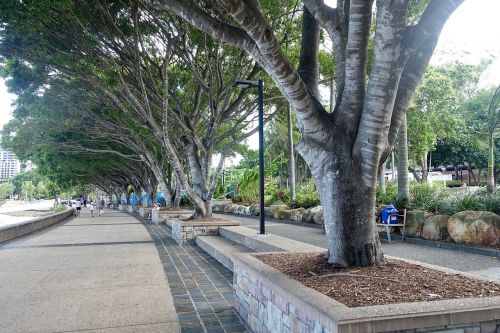 Medžiai, Atspalvis, Linija, Southbank, Brisbane, Takas, Aplinka
