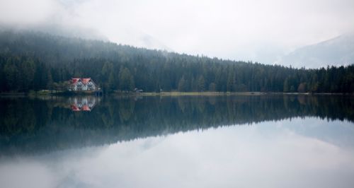 Medžiai, Augalas, Miškas, Rūkas, Ežeras, Vanduo, Atspindys