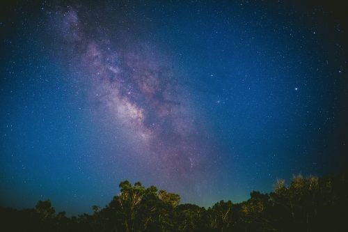 Medžiai, Dangus, Mėlynas, Tamsi, Žvaigždės, Galaktikos