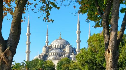 Medžiai, Mečetė, Žalias, Istanbulas, Turkija