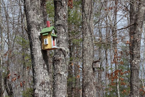 Medžiai,  Birdhouse,  Miškas