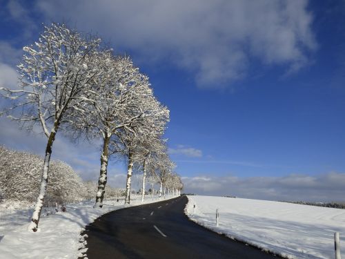 Medžiai, Sniego Kraštovaizdis, Užšaldymas, Mėlynas Dangus, Sniegas, Liuksemburgas