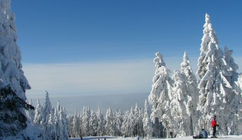Medžiai, Sniegas, Medis, Žiema, Snieguotas, Kalnai, Balta, Miškas, Kraštovaizdis, Austria, Gamta, Taika