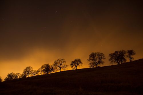 Medžiai, Siluetas, Naktis, Dusk, Dangus, Žvaigždės