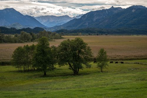 Medžiai, Kalnai, Kiauras, Samanos, Murnau Purvinas, Platus, Perspektyva, Alpių, Oberammergau Alpine, Vazonai, Wetterstein Kalnai, Rytinė Wetterstein, Kalnų Peizažas, Pieva, Abėcėlė, Kalnų Pieva, Murnau, Ettaler Manndl, Vokietija, Bavarija