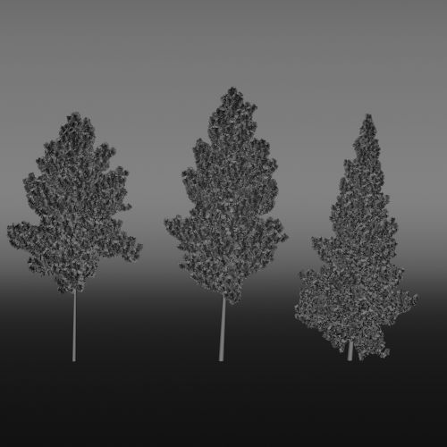 Piešimas,  3,  Trys,  Medžiai,  3D,  Juoda,  Pilka,  Izoliuotas,  Formos,  Medžiai Ii