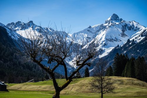 Trettachspitze, Trettachtal, Oberstdorf, Kalnai, Trettach, Allgäu, Allgäu Alpės, Kraštovaizdis, Siluetas, Medis, Kalnų Viršūnių Susitikimas, Žygiai, Kalnų Peizažas, Alpių, Gamta, Panorama