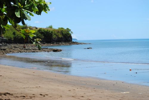 Trevani, Papludimys, Mayotte