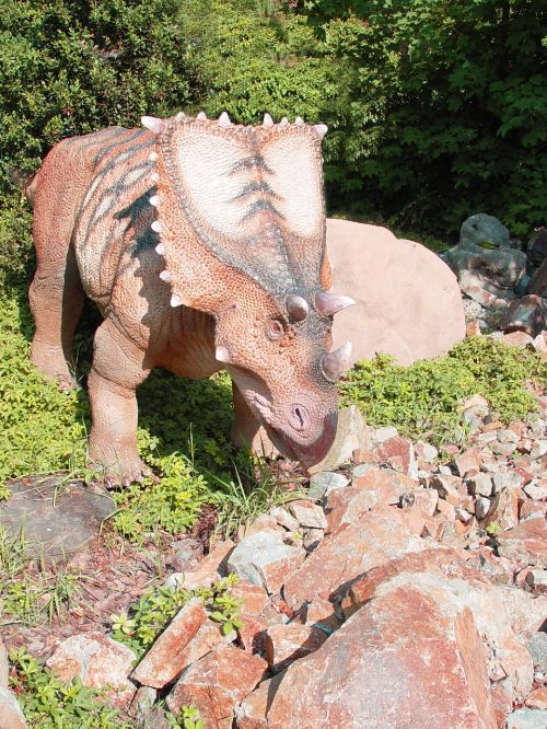 Triceratops, Dino, Dinozauras