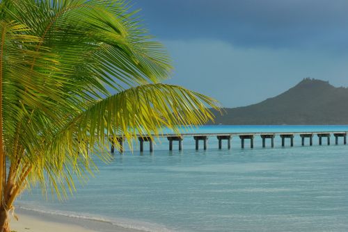 Atogrąžų Paplūdimys, Palmė, Bora Bora, Baltas Smėlis