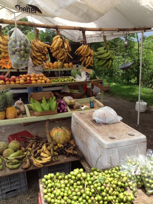 Vaisiai,  Guava,  Bananas,  Turgus,  Puerto & Nbsp,  Rico,  Atogrąžų Vaisių Stendas