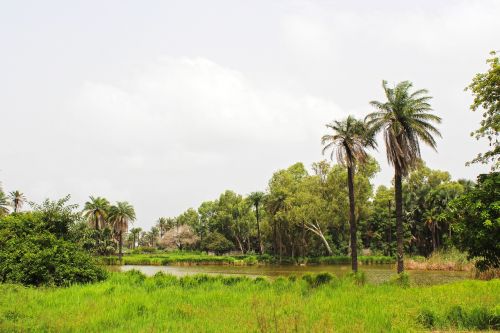 Atogrąžų Kraštovaizdis, Afrika, Gamta, Ežeras, Idiliškas, Žalias, Vanduo, Rojus, Egzotiškas, Upė, Krantas, Tropinis, Įlanka, Kraštovaizdis, Vaizdingas, Atogrąžų, Peizažas