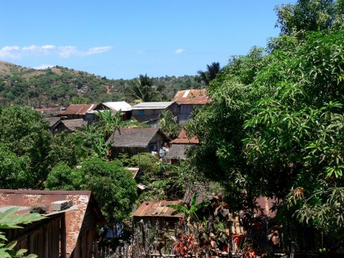 Kaimas,  Alavas,  Marškiniai,  Ramshackle,  Atogrąžų,  Augmenija,  Hillside,  Atogrąžų Kaimas