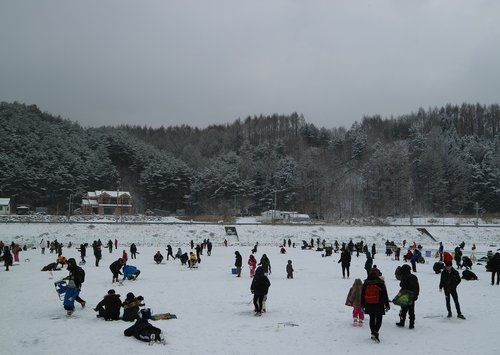Upėtakis Festivalis,  Pyeongchang,  Žiemos Skambinkite Dabar,  Ledas
