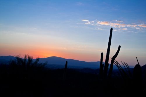 Tucson,  Saulėtekis,  Dykuma,  Gamta,  Kraštovaizdis,  Arizona,  Tuksono Saulėtekis