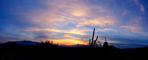 Tucson,  Saulėtekis,  Dykuma,  Gamta,  Kraštovaizdis,  Arizona,  Panorama,  Tuksono Saulėtekis