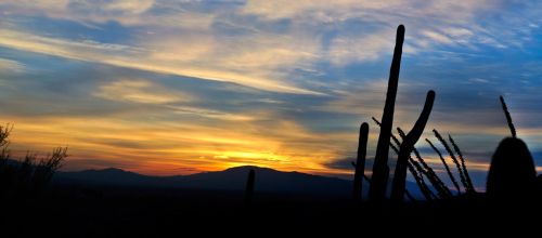 Tucson,  Saulėtekis,  Dykuma,  Gamta,  Kraštovaizdis,  Arizona,  Panorama,  Tuksono Saulėtekis