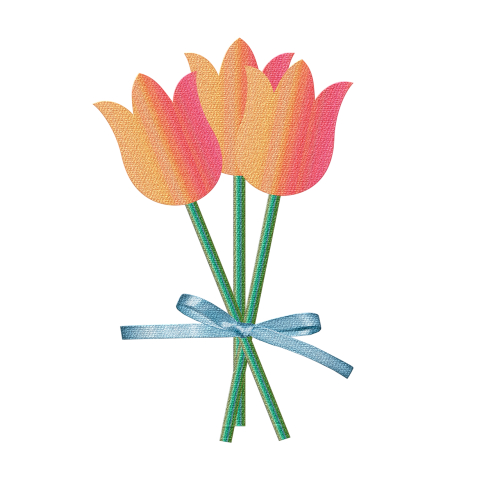 Tulpė, Tulpės, Gamta, Nyderlandai, Oranžinė, Gėlė, Pavasaris
