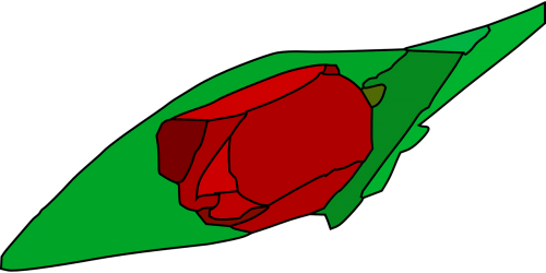 Tulpė, Gėlė, Augalas, Lapai, Nemokama Vektorinė Grafika